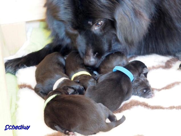 14.3.2019 - Die stolze Mama mit der Rasselbande